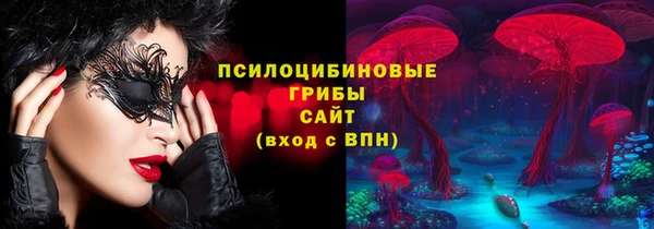 кристаллы Ельня