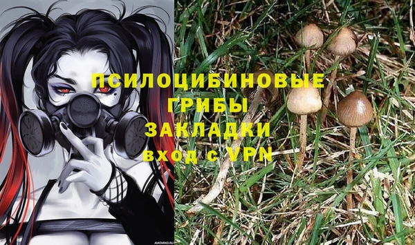 кристаллы Ельня