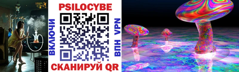 Псилоцибиновые грибы Cubensis  Зерноград 